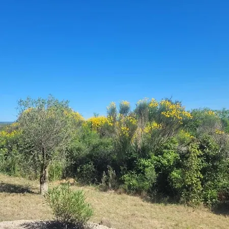 In Near Carcassonne & Beaches, Cleaning Included 度假居