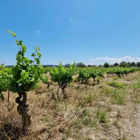 In Near Carcassonne & Beaches, Cleaning Included Oupia