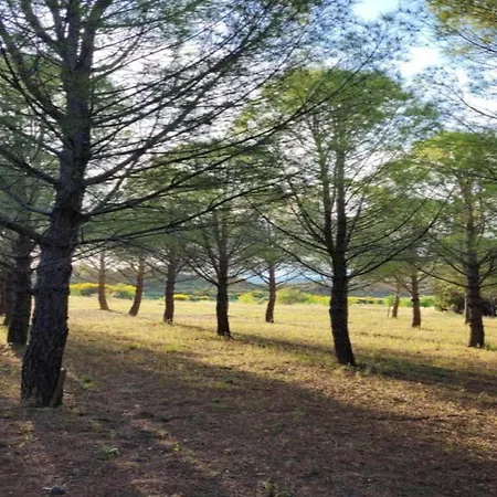 In Near Carcassonne & Beaches, Cleaning Included Oupia